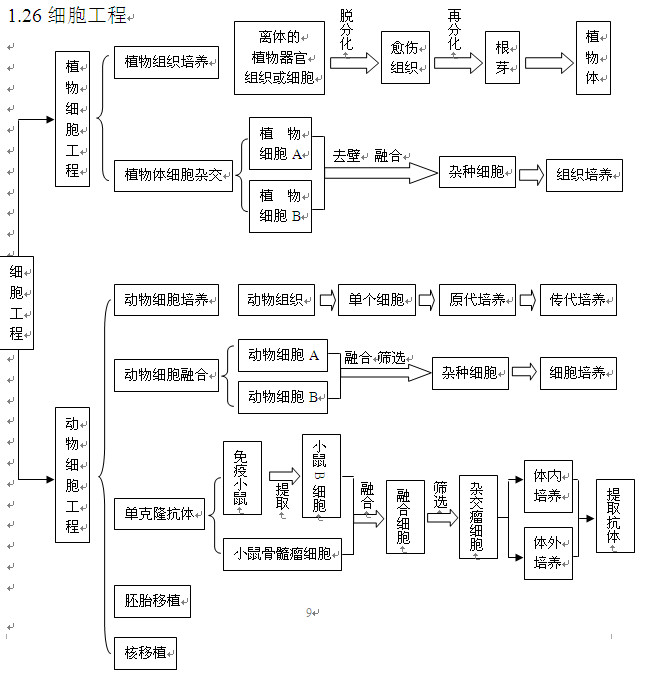 2013年高考生物第一轮复习:细胞工程